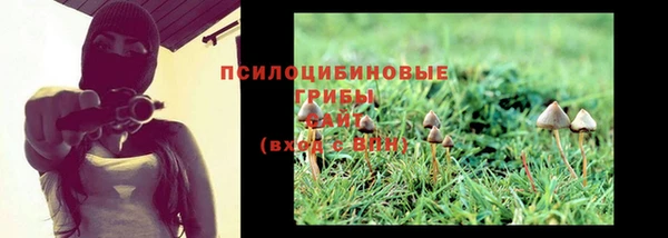 марки nbome Пролетарск