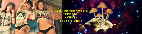 MDMA Premium VHQ Приозерск
