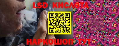 бошки Гагарин