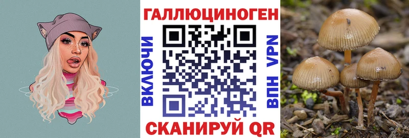 магазин Торжок mega ТОР Галлюциногенные грибы ЛСД