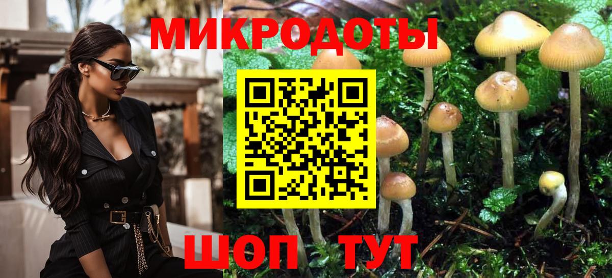 Торжок  Галлюциногенные грибы MAGIC MUSHROOMS  закладки  Вход с VPN 