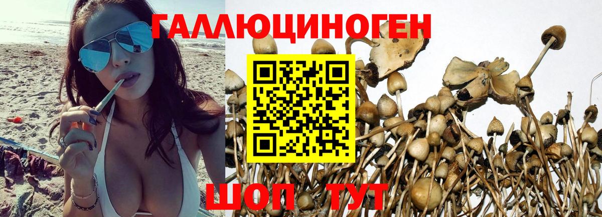 Alpha-PVP СОЛЬ   Гашиш  Вход с VPN  МЕФ кристаллы  Торжок  Марихуана  МЕТАМФЕТАМИН 